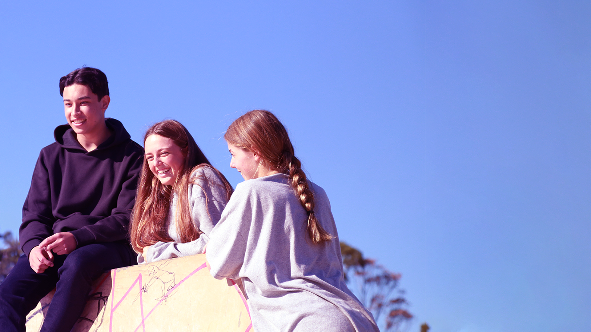 THEY HAVEN’T GOT A CARE IN THE WORLD... or HAVE THEY?